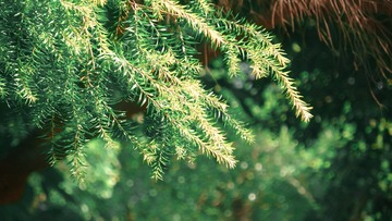 82F1F4D0-97EA-4F2A-8D71-14F211992042/L0/001