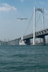 165638
