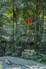 1068628