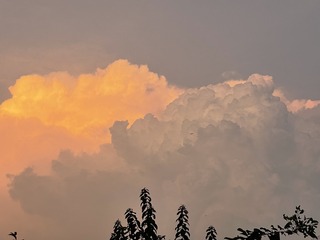 29A8516B-C04A-4CC3-957F-8F3F0F8AF2D5/L0/001