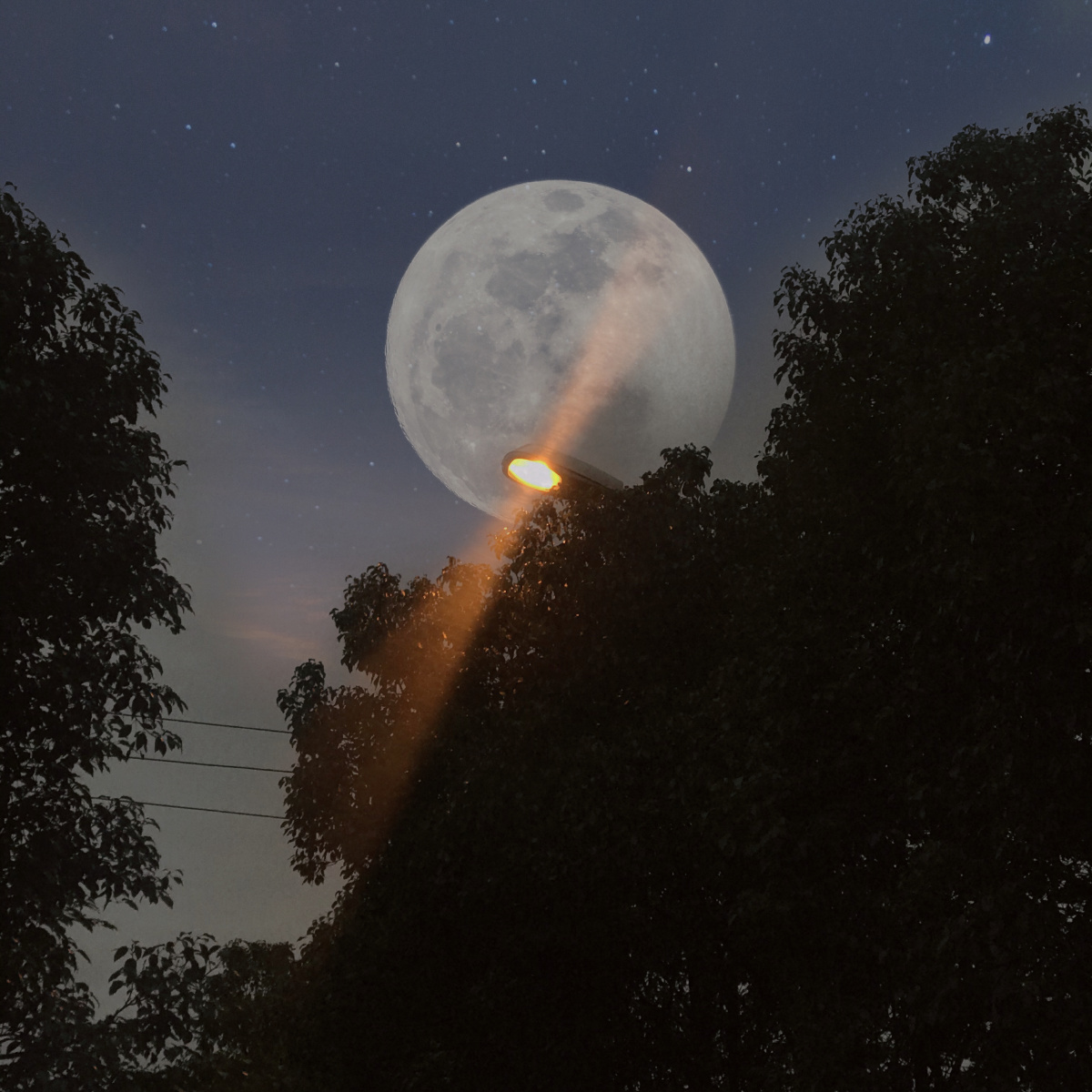 晚灯这个特效有点酷喔