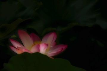 001