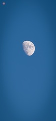 99811C20-6859-4DC6-A847-FFB9834313E8/L0/001