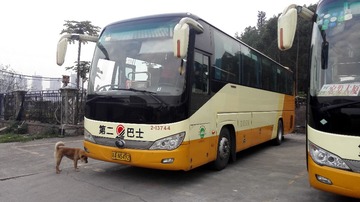 2896008