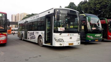 2902713