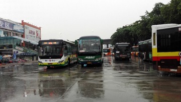 2906533