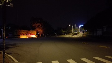 2973418