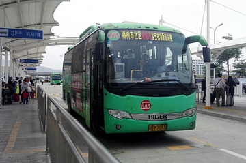 2988118