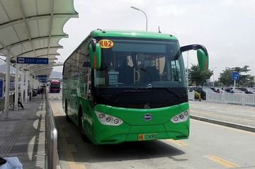 2988116