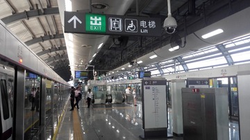 2981268