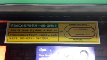 2981269