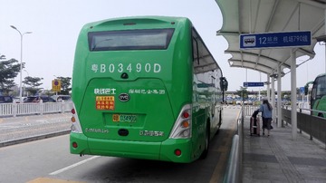 2981227