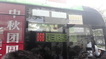 2981260