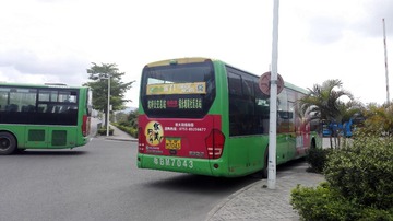 2981244