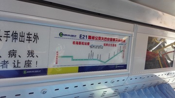 2981241