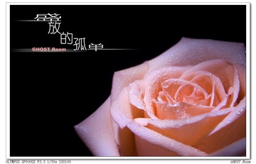 14A42442-2F41-4586-9399-B2F1FD0A2C6B/L0/001