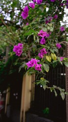 53A4B93C-29CA-4F67-BD41-624711222BC6/L0/001