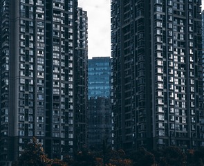 ADAF633D-69F1-4912-886A-D81012A78EC3/L0/001