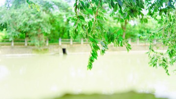 9E69EF6D-A7DC-42AD-A0CE-93539294AD26/L0/001