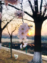 8D3A4644-4DAE-4271-BC88-77F400DDD2A9/L0/001