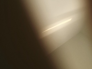 251017