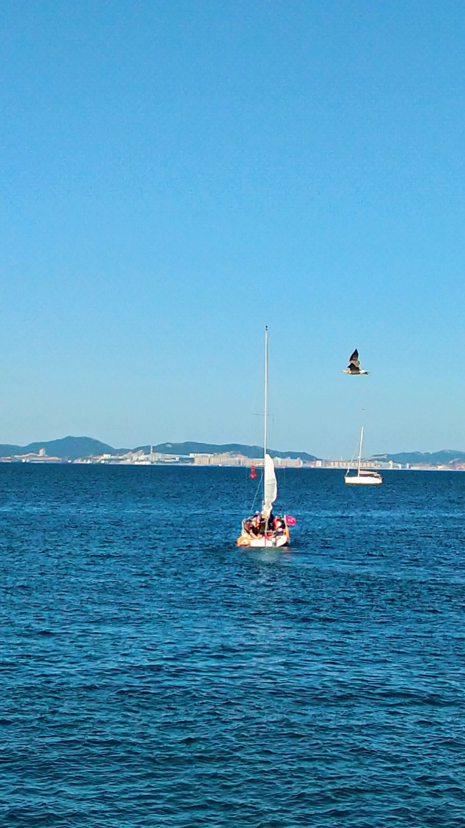 大连东港游艇码头