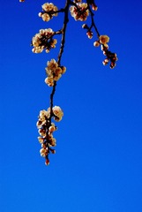 1002071