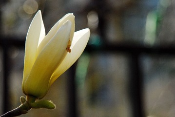 1002074