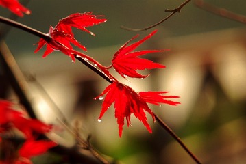 1050926