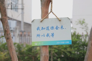 1164591