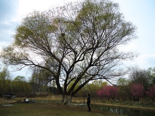 朝圣