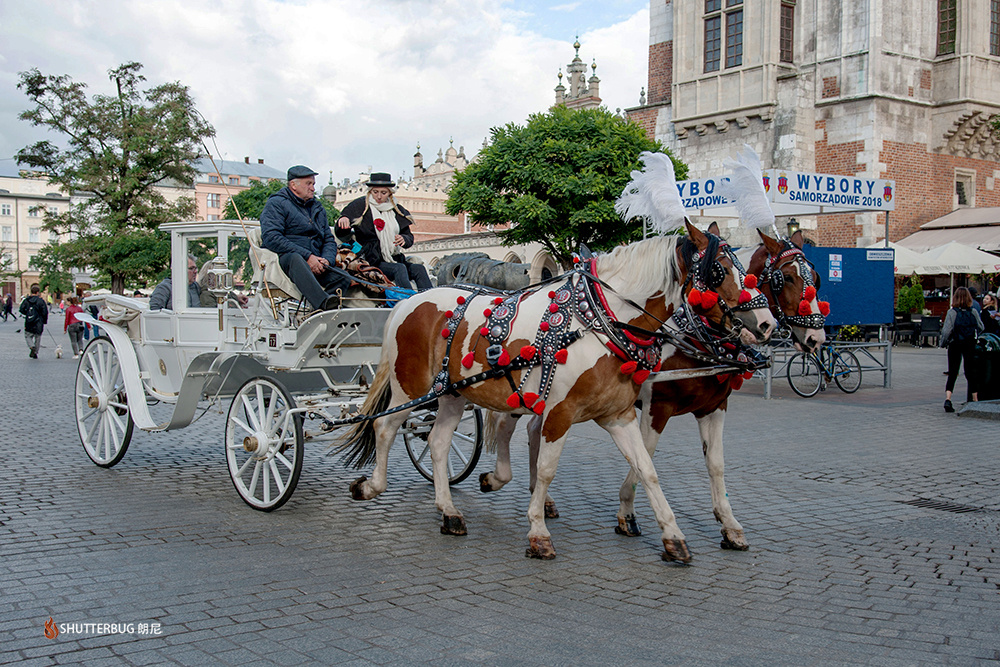 欧洲城市里的马车