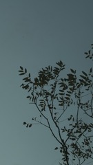 1206278
