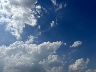 9592A72F-C94A-4158-8218-A018F6237CE1/L0/001