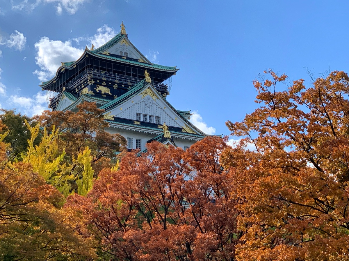 大阪城秋 - siki_he - 图虫