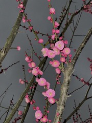 001