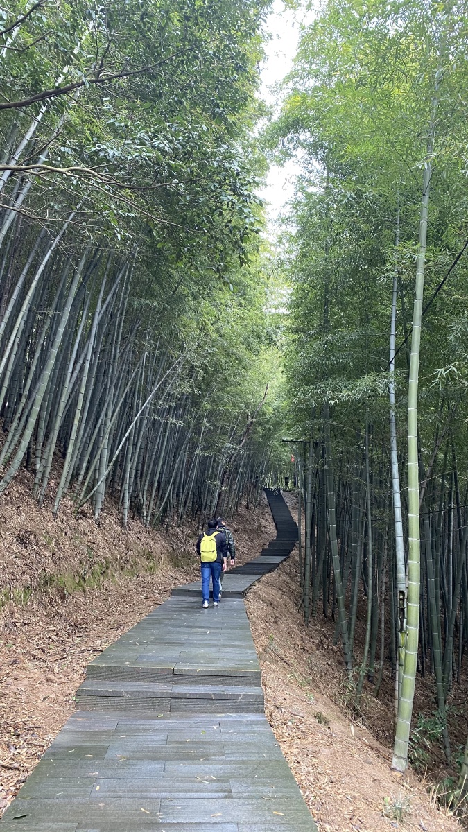城山古道油菜花 - 那些年错过的大雨 - 图虫