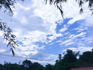 FF86F936-5C7A-4B79-9865-6BD6BFDF17DC/L0/001