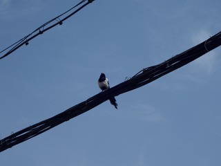 9EC113AB-C8D6-4256-892B-D6B66D3EC310/L0/001