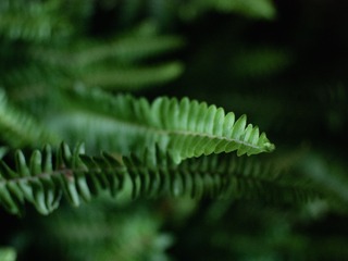 P9750453 2