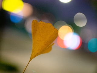 P9750314