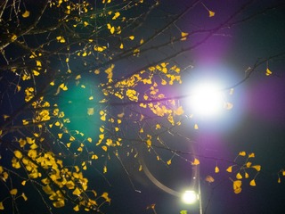 P9750304