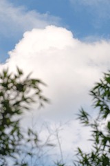 8A1CACAB-59E0-4B02-9E77-5252F0A8BEA0/L0/001