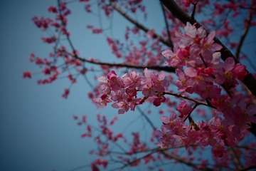 57EE381F-D988-4100-9B66-91D67E5DCAC4/L0/001