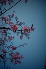 BA8DF198-8999-416F-B5E4-4F9A3A959678/L0/001
