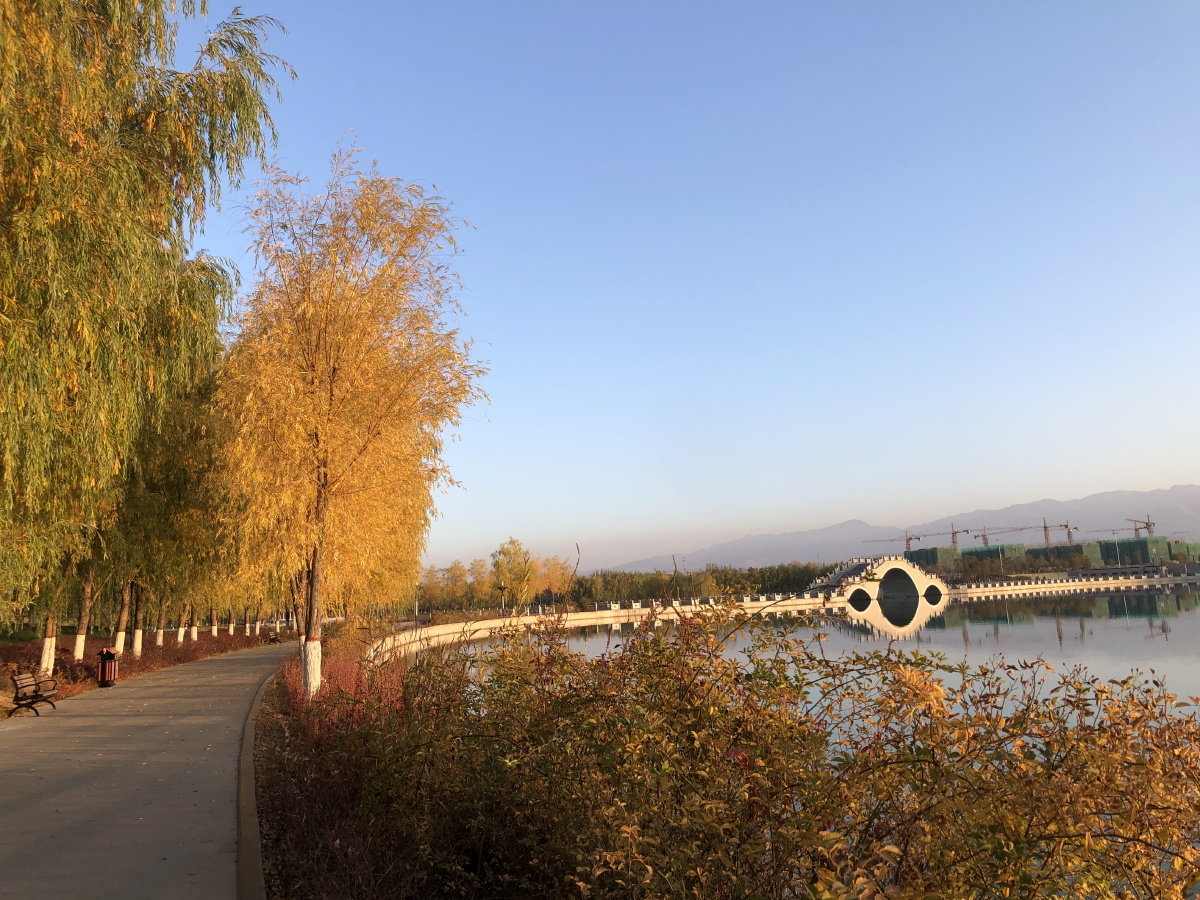 巩留县蝶湖秋色