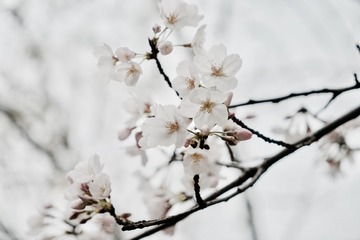 fullsizeoutput_4b5