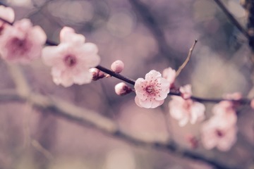 fullsizeoutput_462