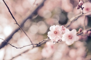 fullsizeoutput_461