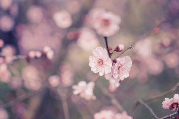fullsizeoutput_2eb